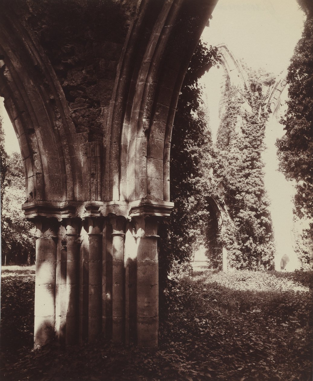 Dammarie-les-Lys, romok,1910 (fénykép) alkotó: Eugène Atget