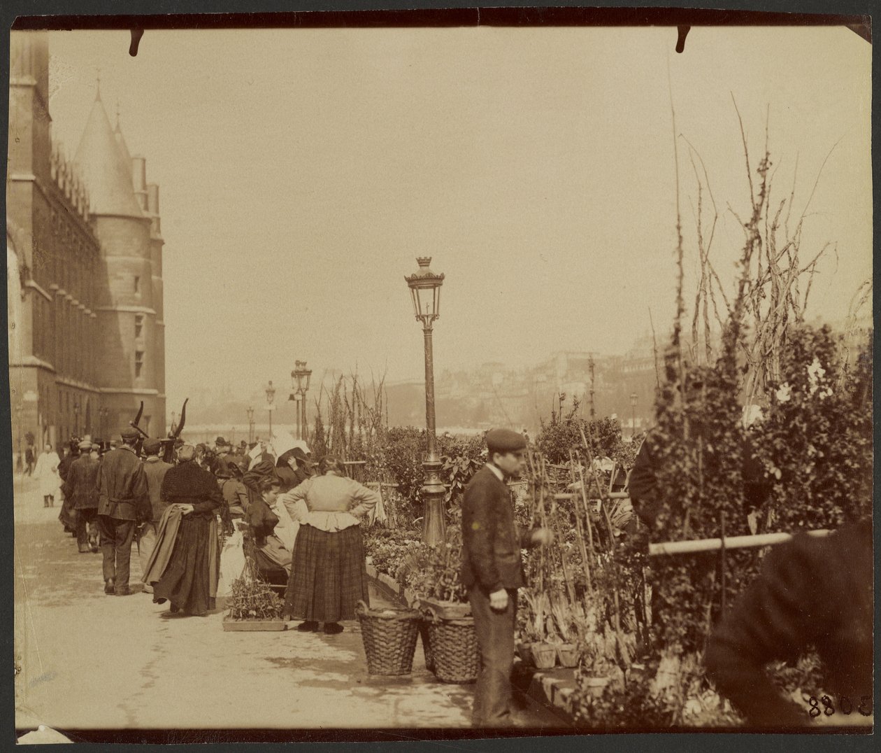[Virágpiac] alkotó: Eugène Atget