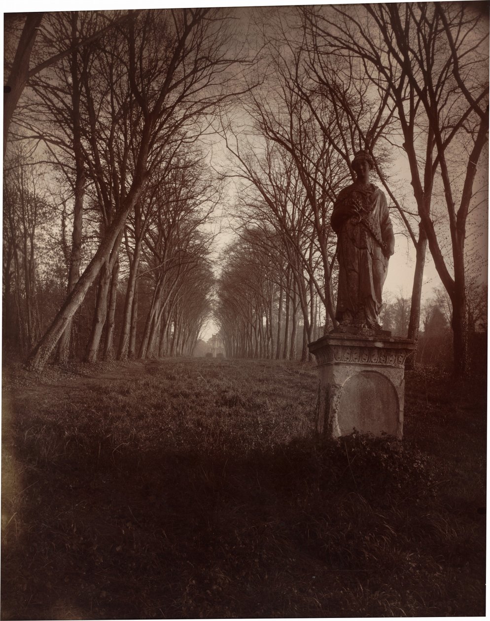 Parc de Sceaux,1925 (fotó) alkotó: Eugène Atget