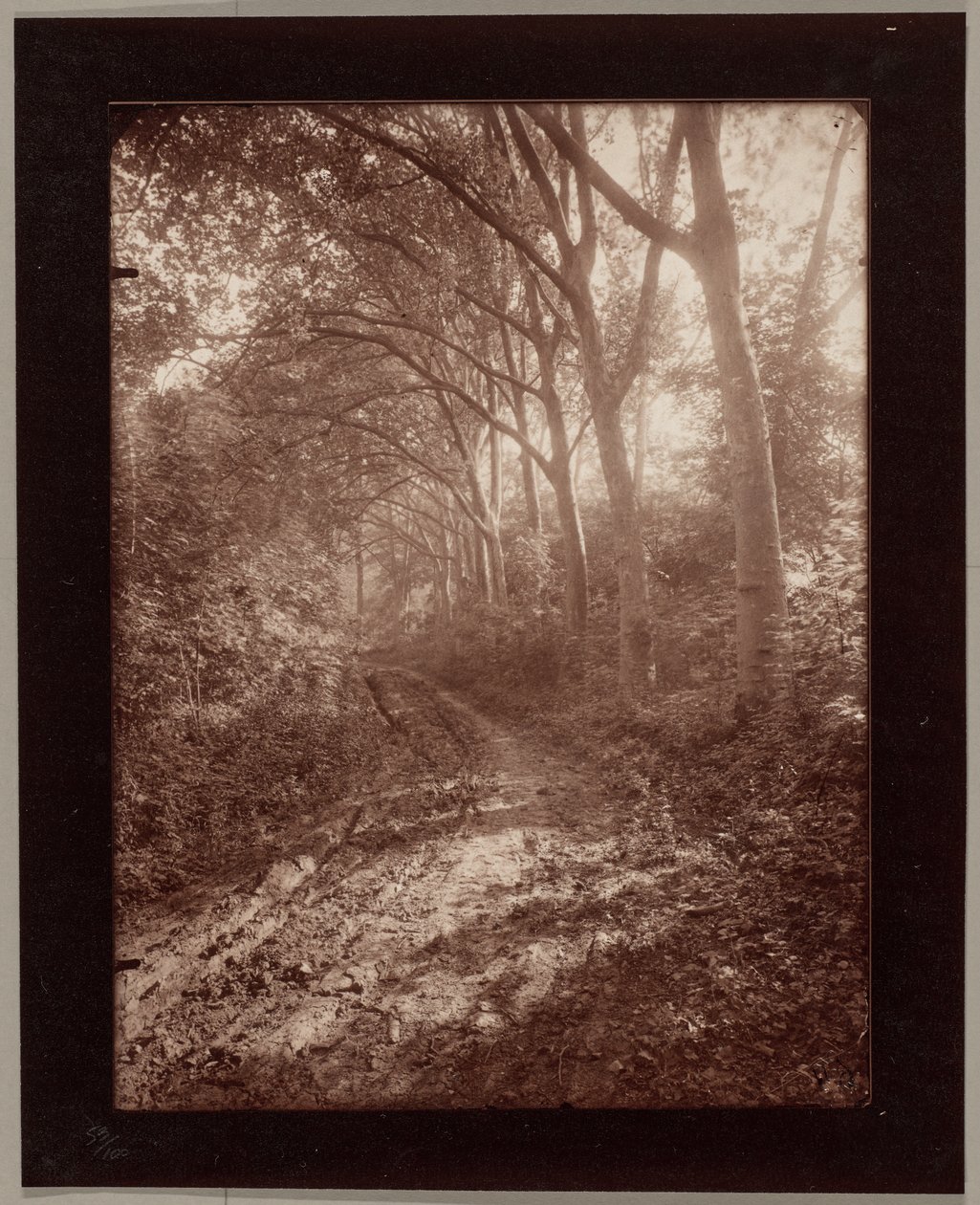 Sceaux parkja alkotó: Eugène Atget