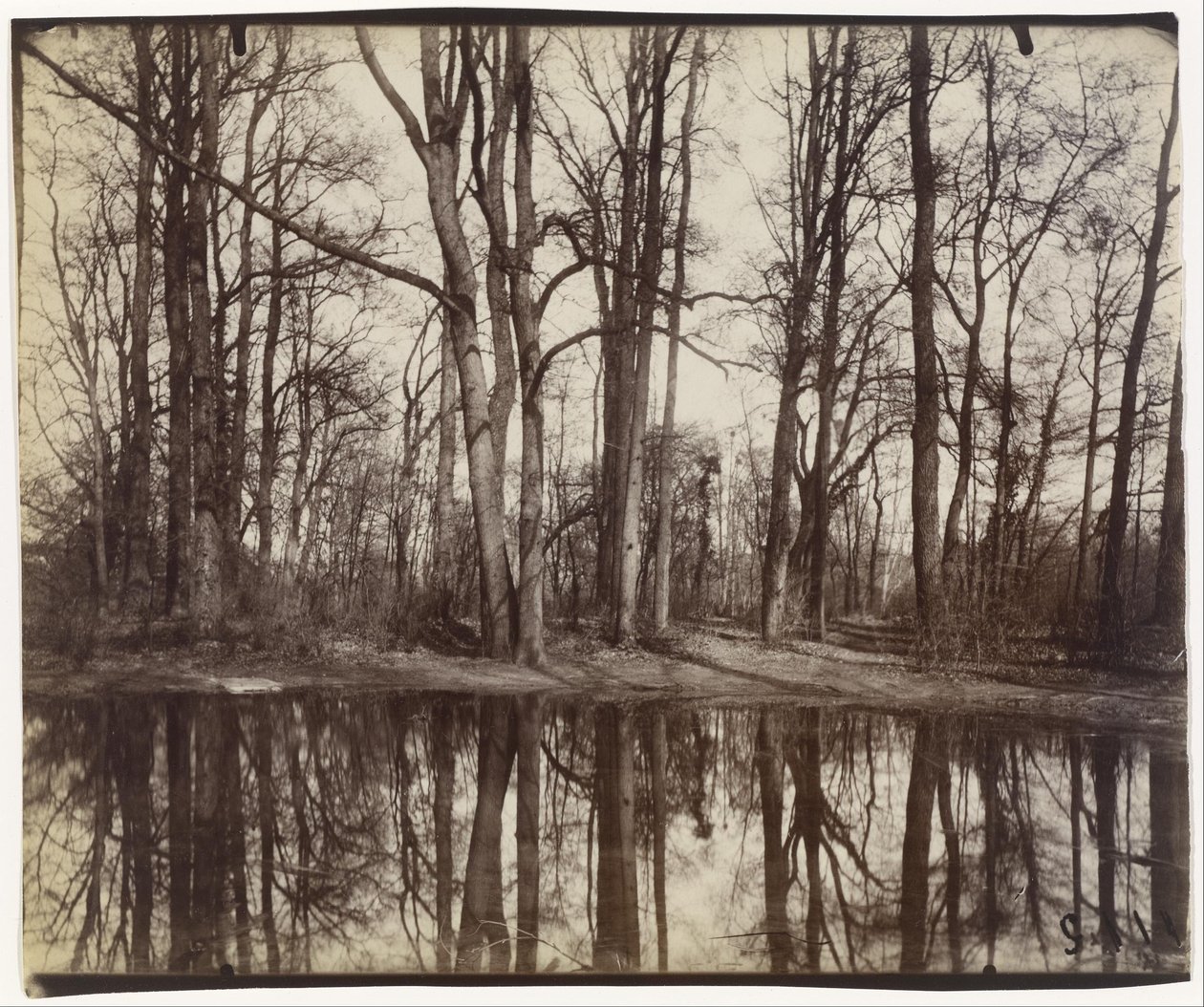 Saint-Cloud, Fülöp orléans-i herceg kastélyának kertjei alkotó: Eugène Atget