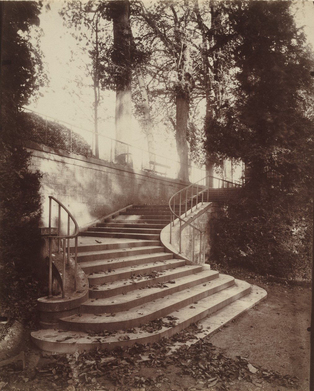 A Saint-Cloud-i lépcsők,1906 (fotó) alkotó: Eugène Atget