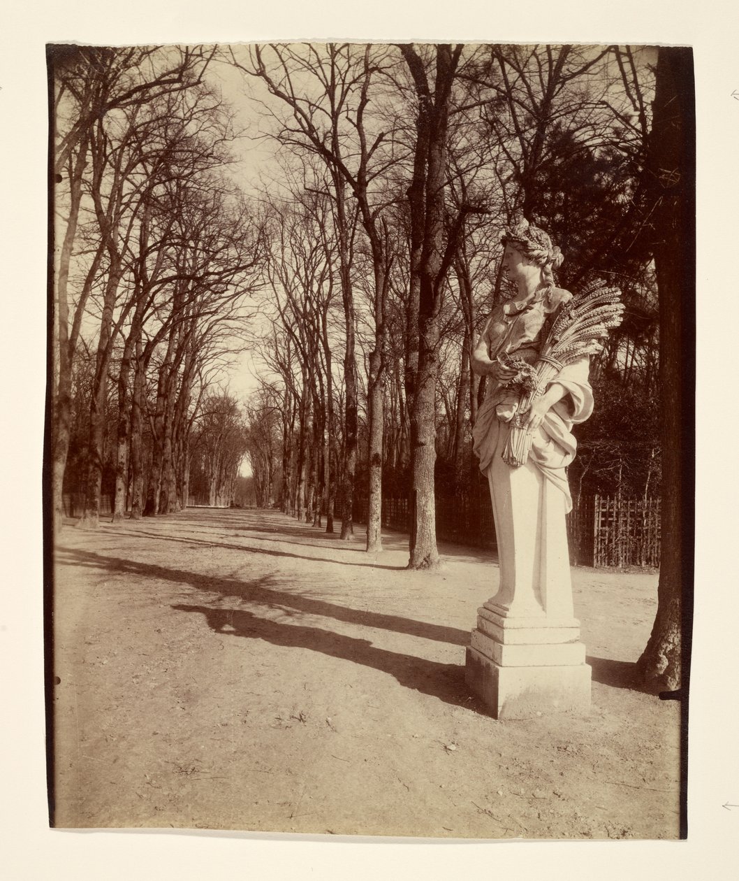 A versailles-i park alkotó: Eugène Atget