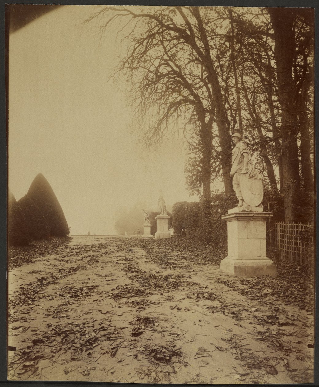 Versailles, a park (fasor a versailles-i parkban) alkotó: Eugène Atget