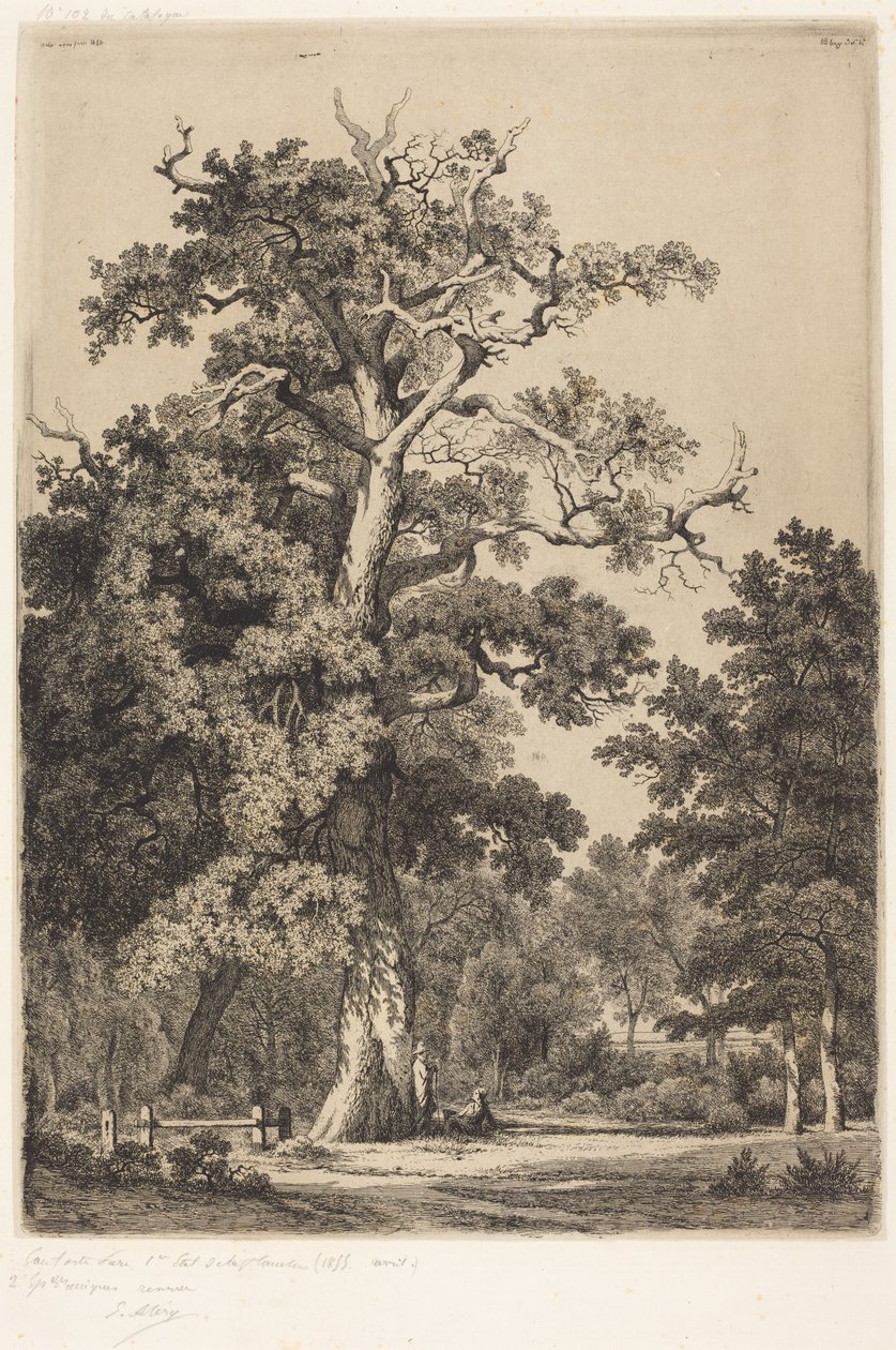 Ősi tölgy a Bois de Boulogne-ban alkotó: Eugene Bléry