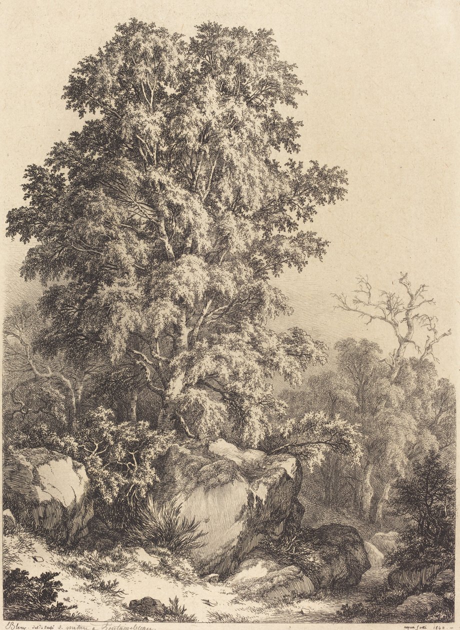 Bükkliget, 1840. alkotó: Eugene Bléry
