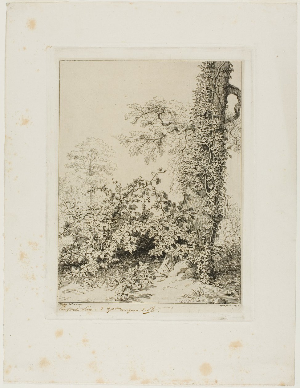 Bramble és Ivy alkotó: Eugene Bléry