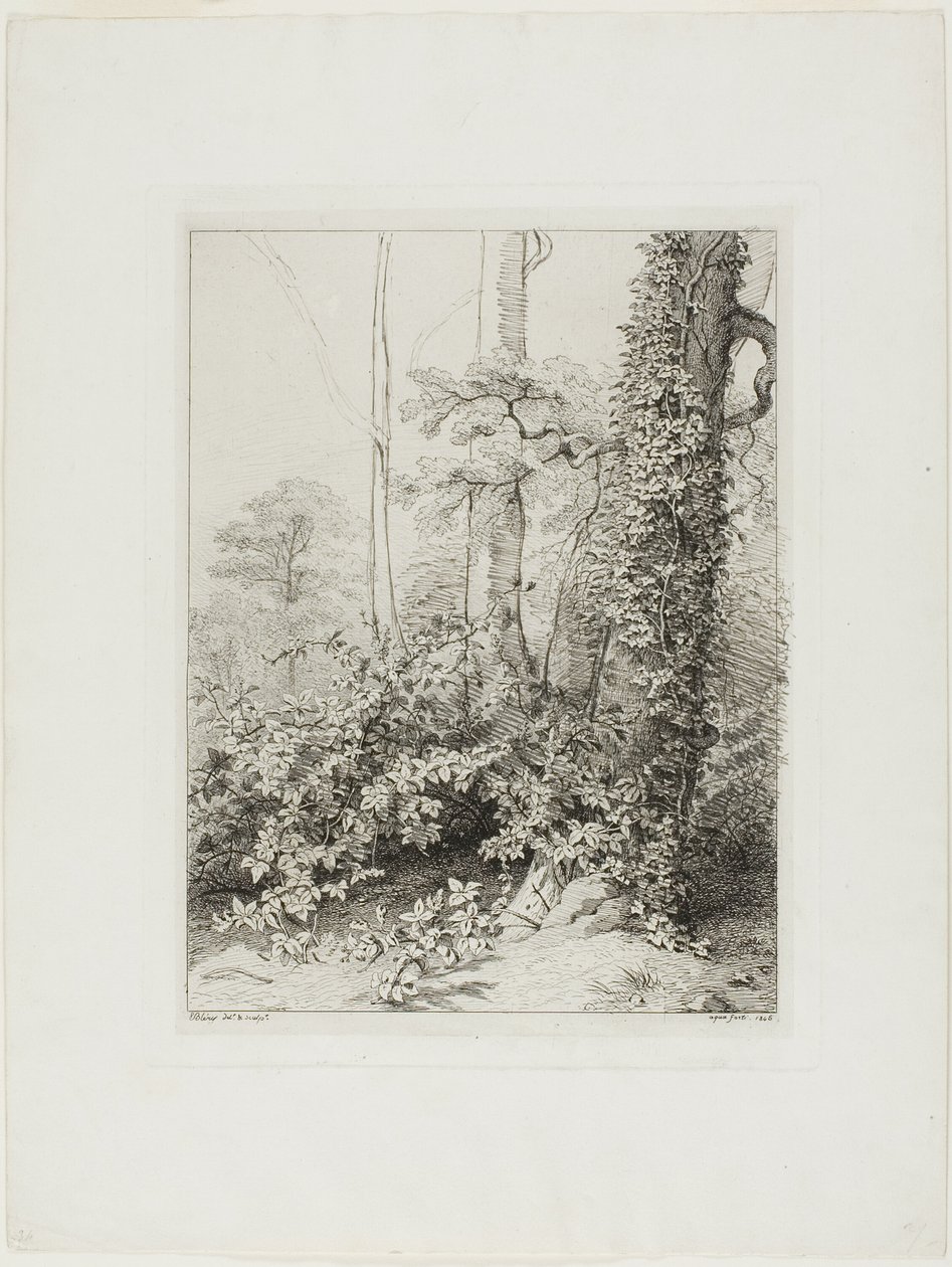 Bramble és Ivy alkotó: Eugene Bléry