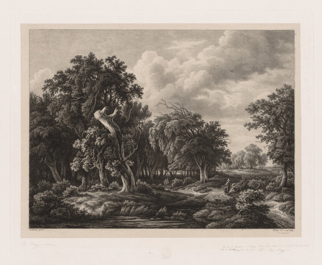 Természet után rajzolt különféle növénycsoportok: 1855. 7. sz. alkotó: Eugene Bléry