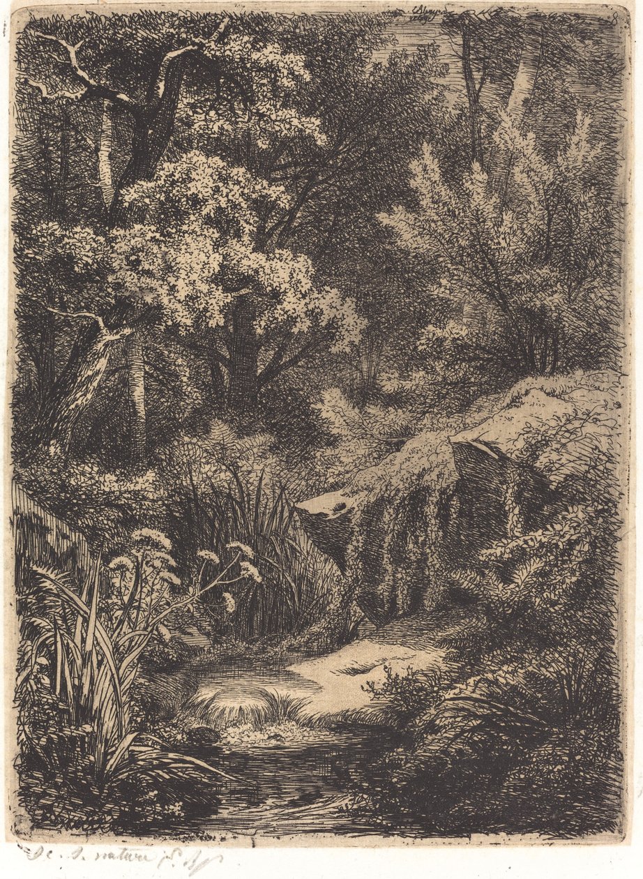 Le petit ruisseau A kis patak, 1849-ben jelent meg. alkotó: Eugene Bléry