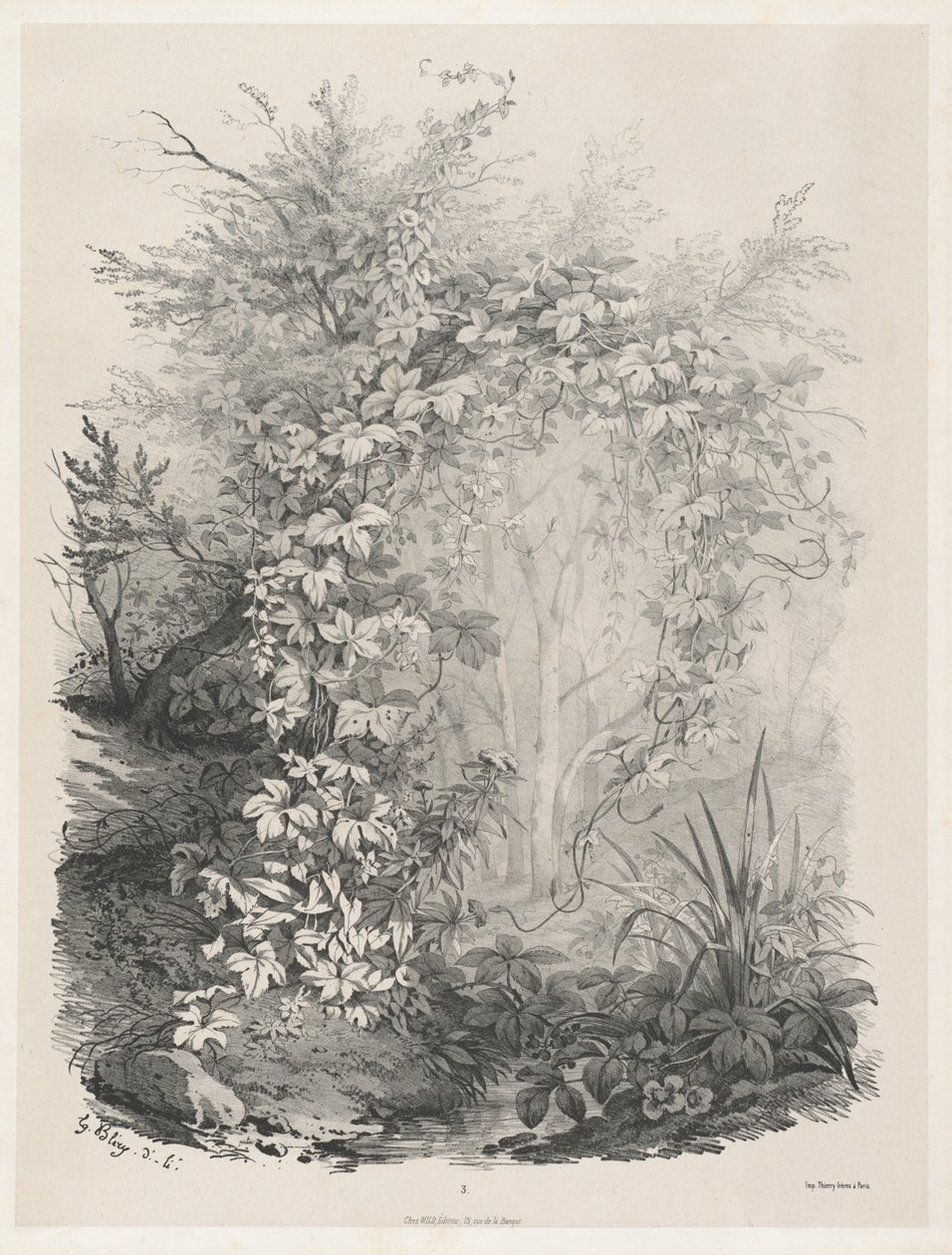 Növények és borostyánok a patak mellett, 18481849. alkotó: Eugene Bléry