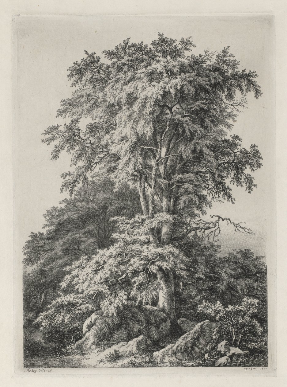 Természet után rajzolt és vésett tanulmányok: The Beach, Fontainbleau..., 1840. alkotó: Eugene Bléry