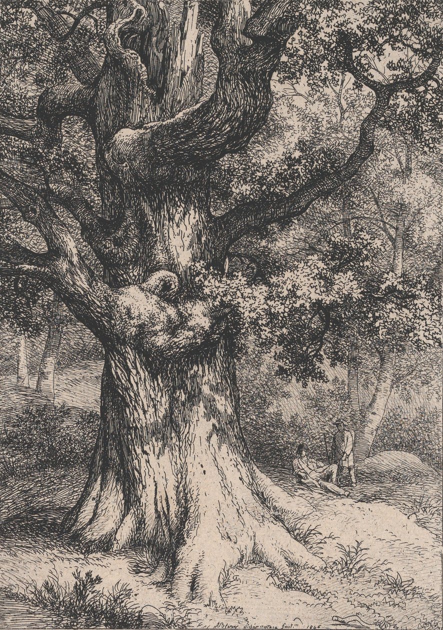 Nagy Károly, tölgyfa sasfészekkel, 1845. alkotó: Eugene Bléry