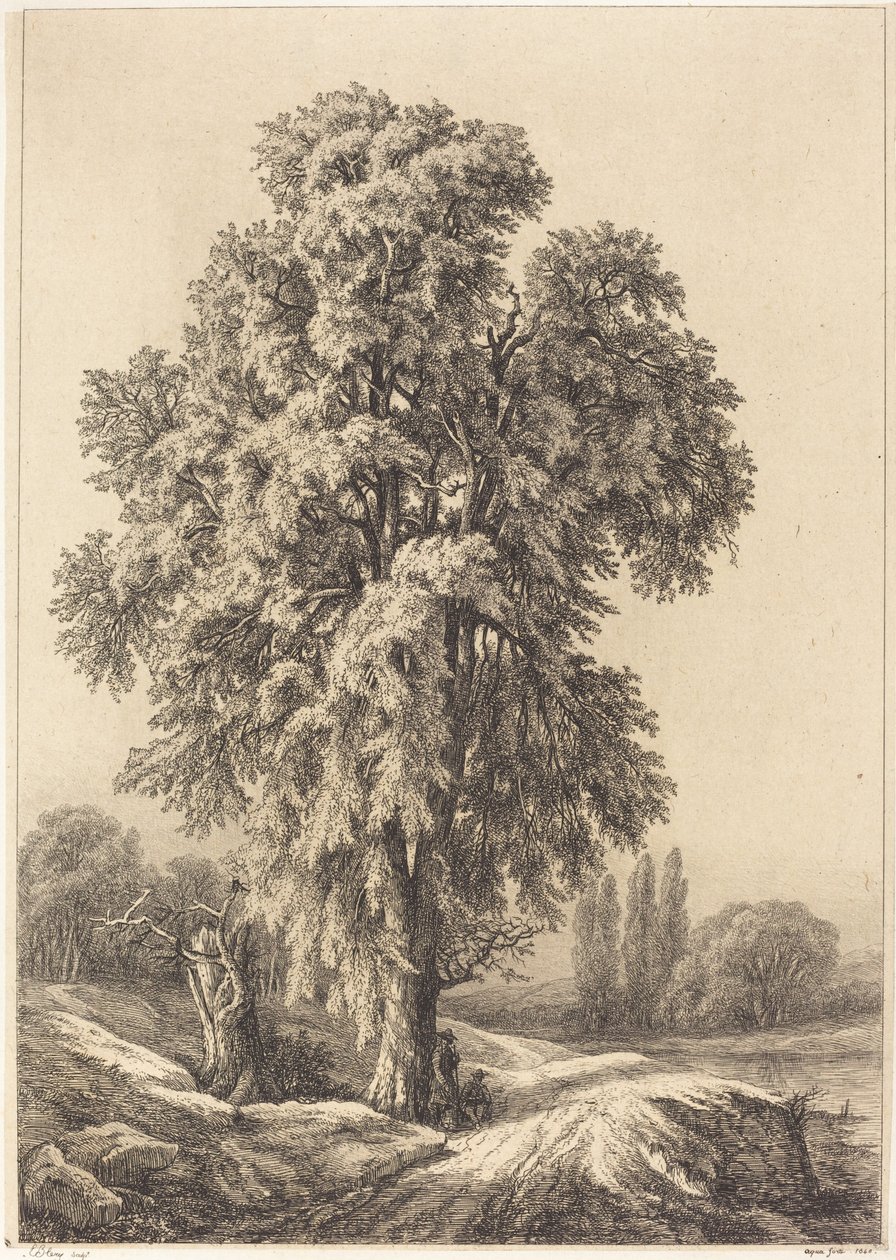A szilfa, 1840. alkotó: Eugene Bléry