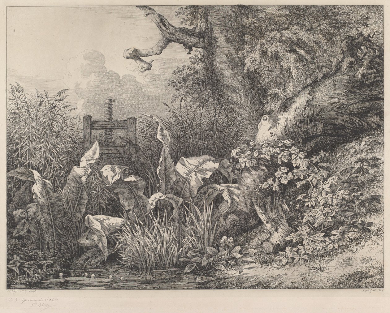 Vízi dokk és Brambles egy zsilipnél, 1843. alkotó: Eugene Bléry
