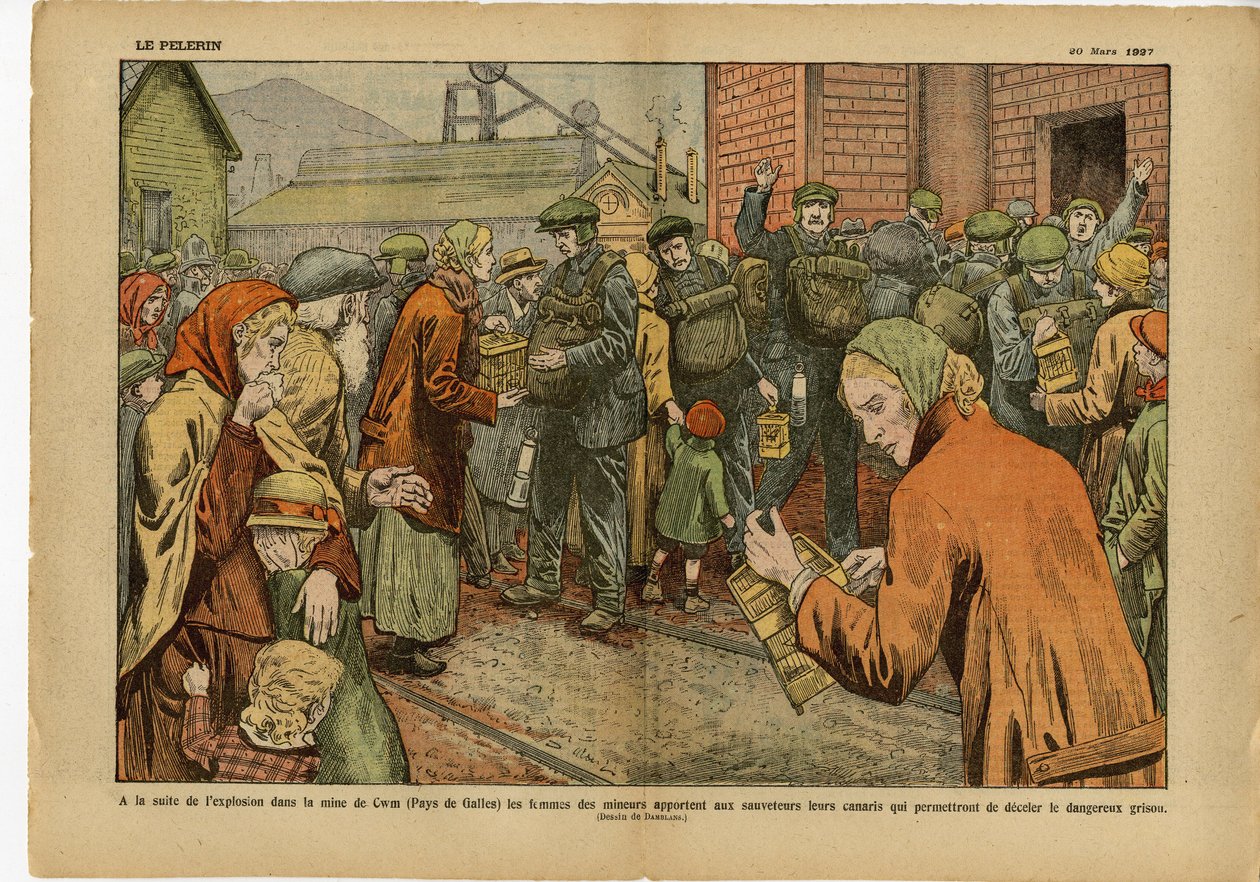 Illusztráció Eugene Damblansról (1865-1945) Le Pelerinben, 03.20.27 - A... bányában történt robbanást követően a bányásznők elhozzák a mentőknek kanárikjukat, amelyekkel elriaszthatják a veszélyes tűzgőzt - Anglia, Nagy-Britannia , Bányászat, Ipar In alkotó: Eugene Damblans