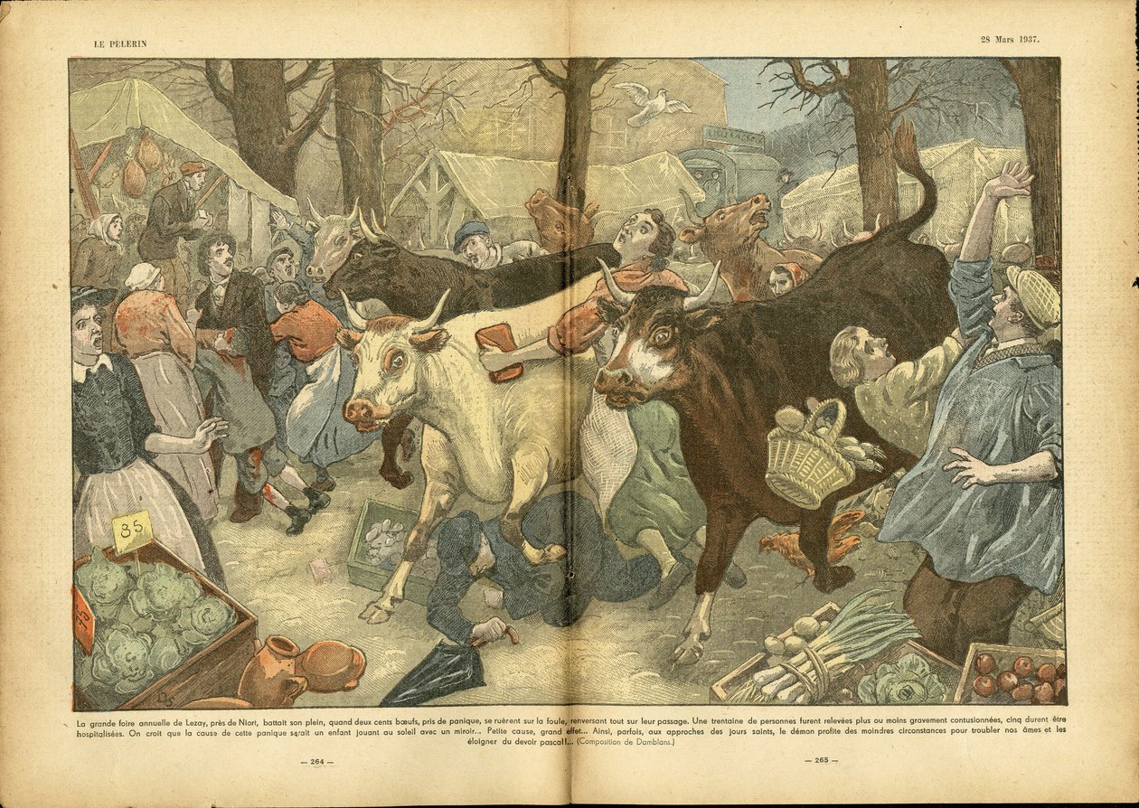 Eugene Damblans (1865-1945) illusztrációja a Le Pelerinben, 28/03/37 - A Niort melletti Lezay nagy éves vására - Különböző tények, Gazdaság, Tömeg, Üzletek, Mezőgazdaság, Hüvelyesek - Tehén, Marha, Camelot vándorárus. alkotó: Eugene Damblans