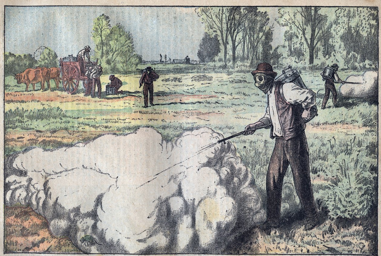 A mulók (Apodemus) elpusztítása a fullasztó gáz által a hajnalban - Damblans metszet - le-pelerin 1923-ból alkotó: Eugene Damblans