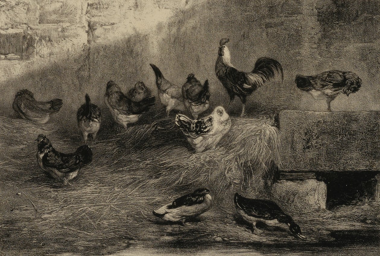 Csirkék és kacsák alkotó: Eugene Leroux