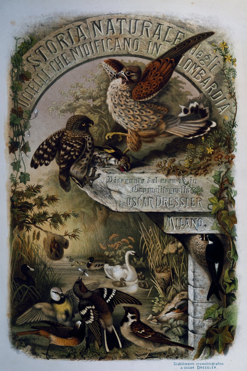 Eugenio Bettoni (1845-1898) A Lombardiában fészkelő madarak természettörténete című művének címlapja, Oscar Dressler metszete, Olaszország. alkotó: Eugenio Bettoni, Oscar Dressler