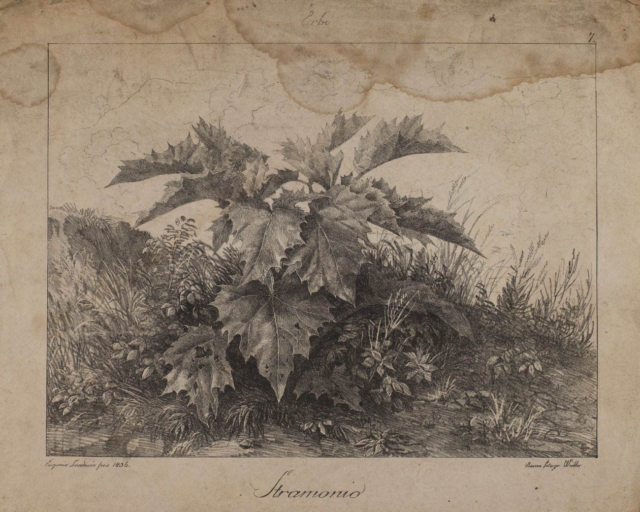 Stramonium alkotó: Eugenio Landesio
