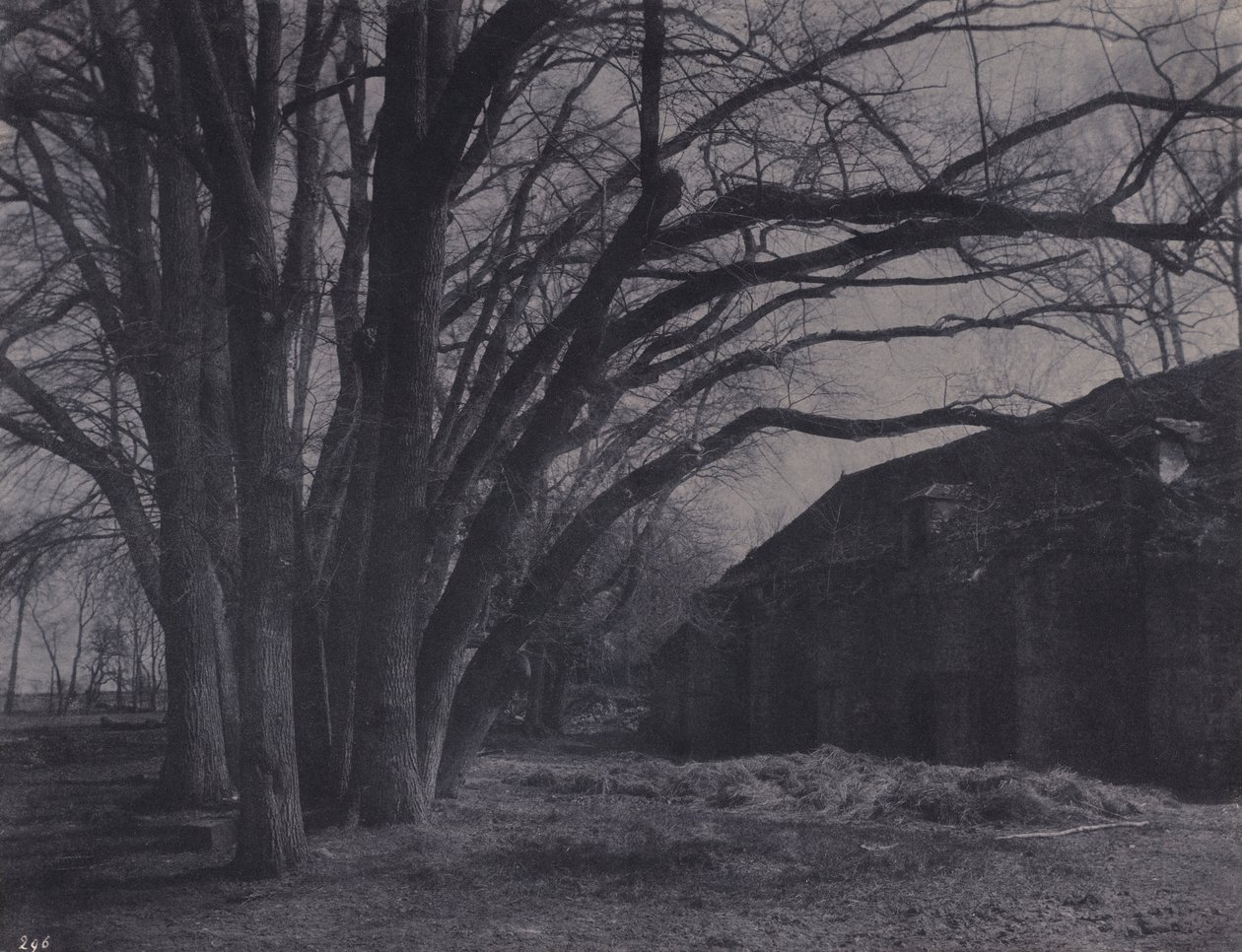 Parc de Courances farm alkotó: Eugène Cuvelier