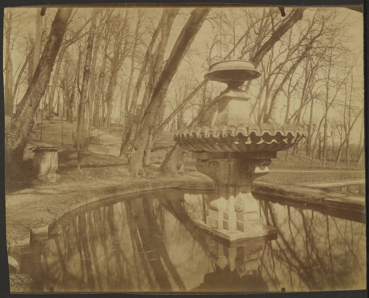 Parc de Saint Cloud (Saint Cloud park) alkotó: Eugène Atget