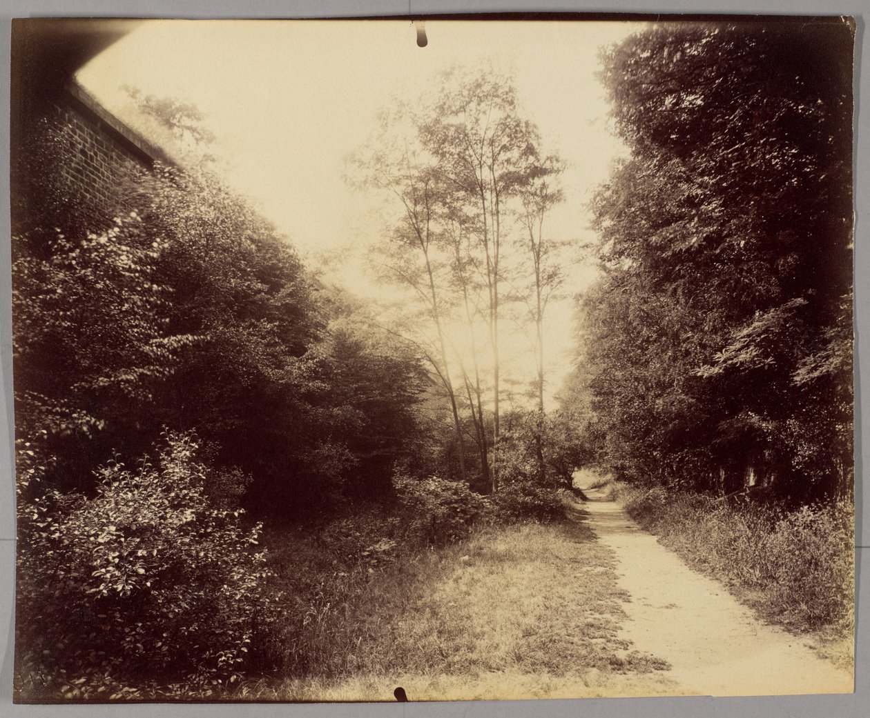 Porte Dauphine alkotó: Eugène Atget