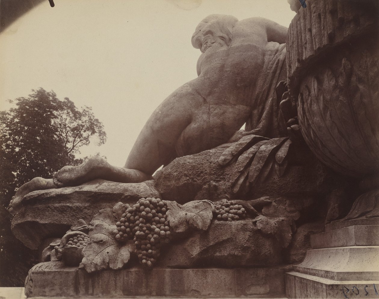 Saint-Cloud,1923 (fénykép) alkotó: Eugène Atget