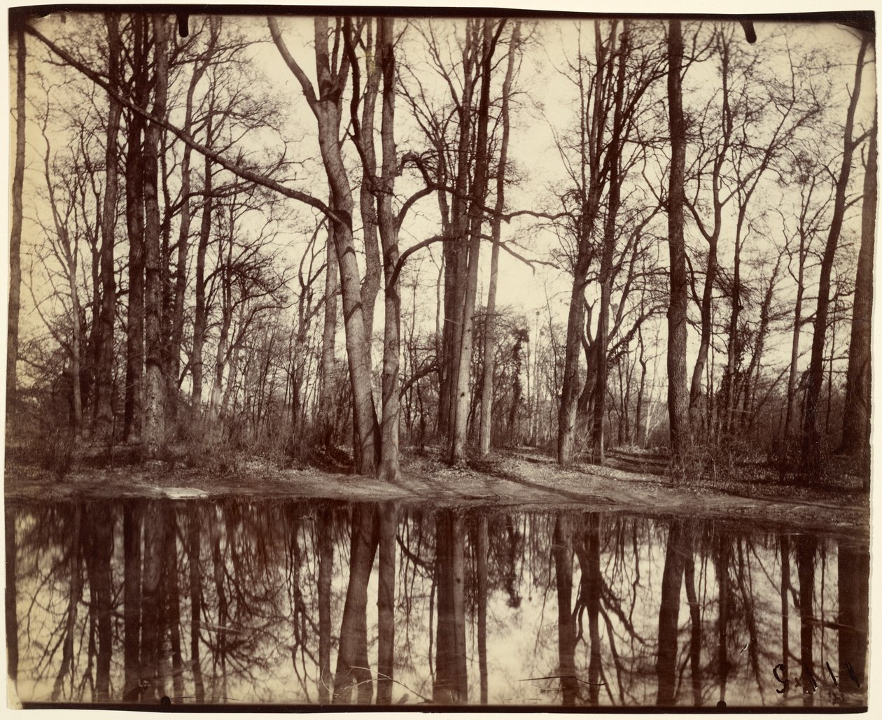 Saint-Cloud alkotó: Eugène Atget