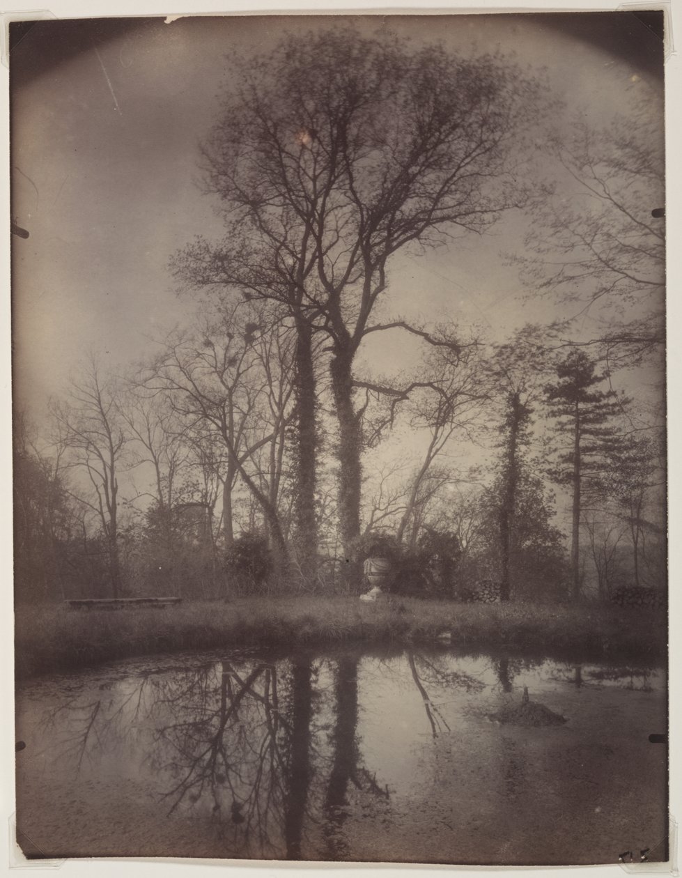 A Sceaux-i park [1925. április, reggel 7 óra] alkotó: Eugène Atget