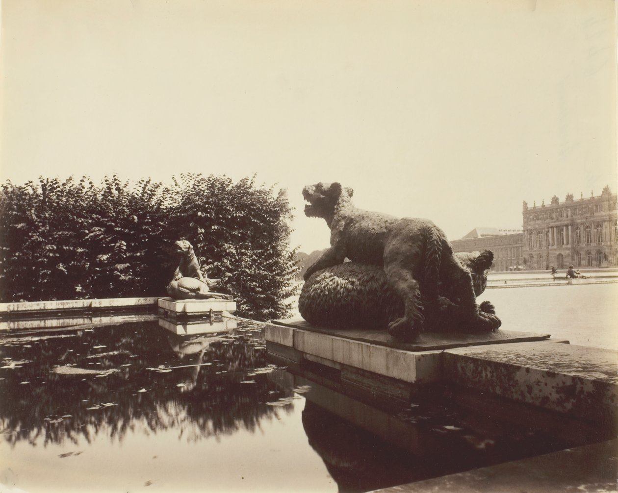 Versailles, Fontaine du Point du Jour, Tiger Slaying a Bear, Houzeau, 1903. alkotó: Eugène Atget