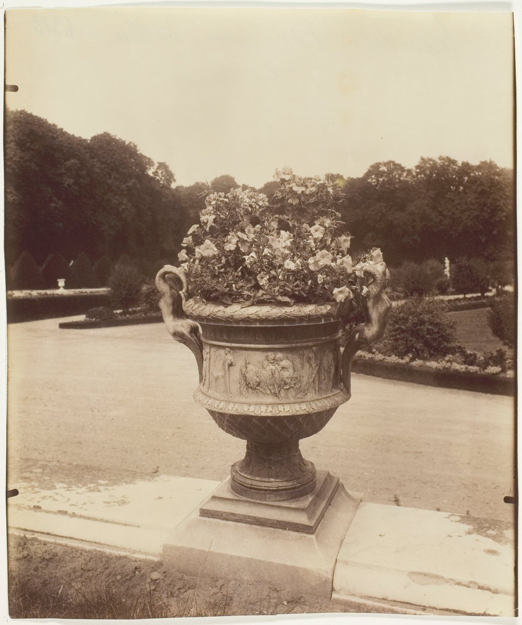 Versailles, Ballin váza, 1902. alkotó: Eugène Atget