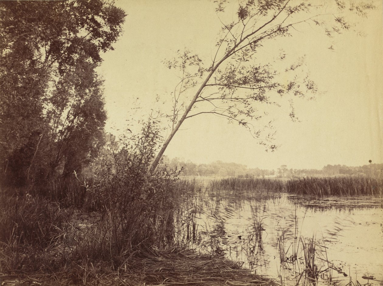 Marais de Fampoux,1860-as évek eleje (fotó) alkotó: Eugène Cuvelier