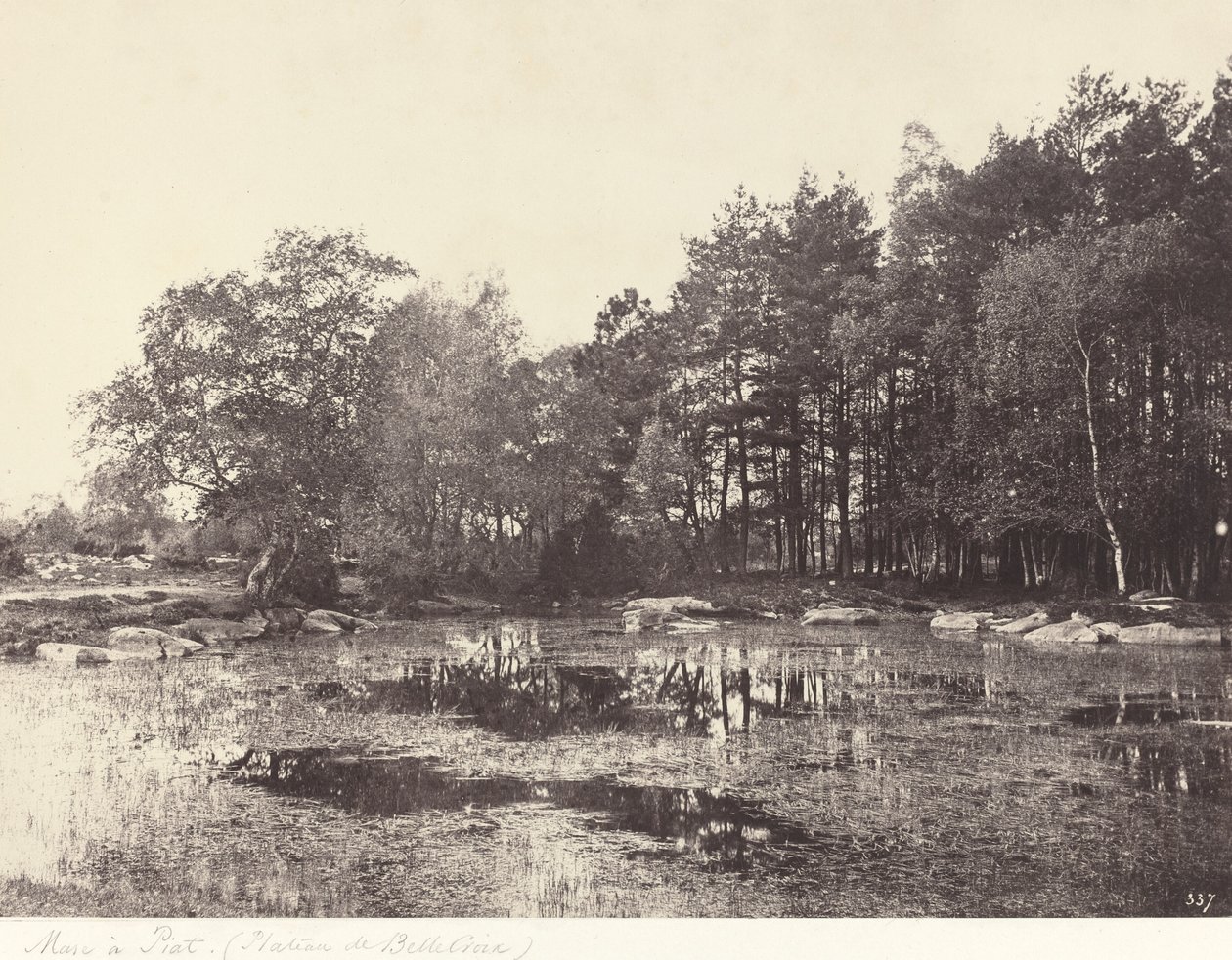 Mocsár Piatnál (Belle-Croix-fennsík) alkotó: Eugène Cuvelier