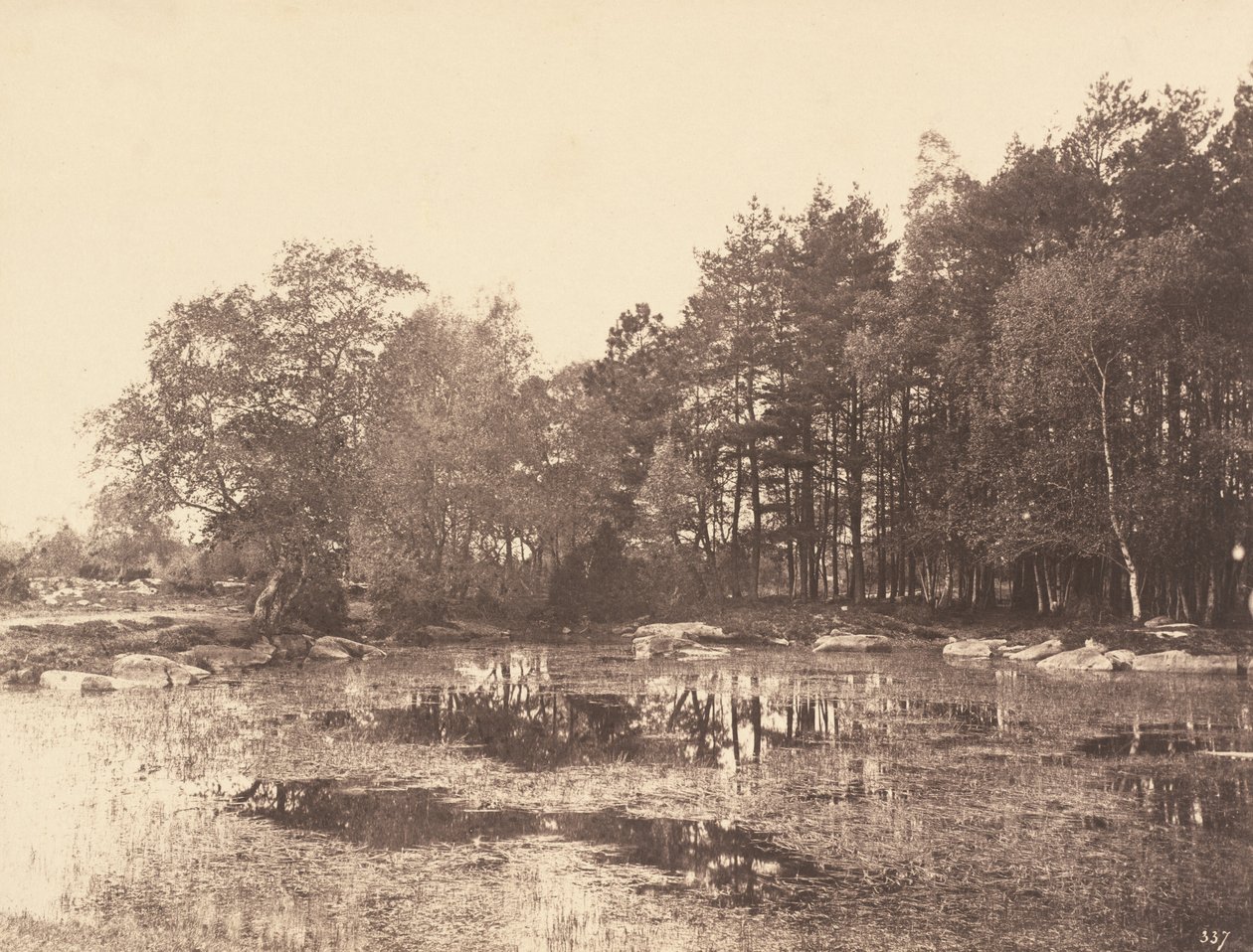 Mocsár a Piat Belle-Croix-fennsíkon, kb. 1863. alkotó: Eugène Cuvelier