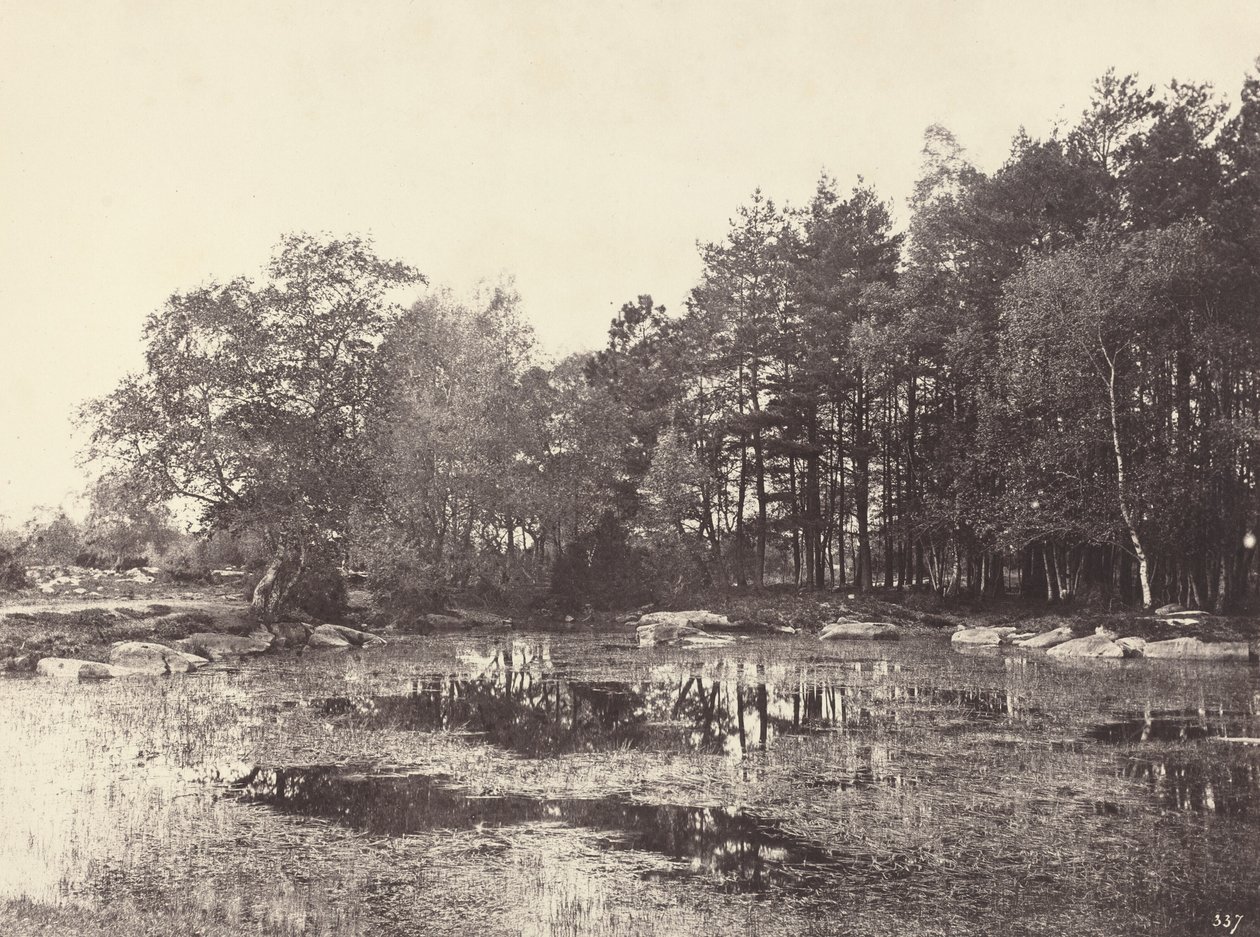 Mocsár a Piat Belle-Croix-fennsíkon, kb. 1863. alkotó: Eugène Cuvelier