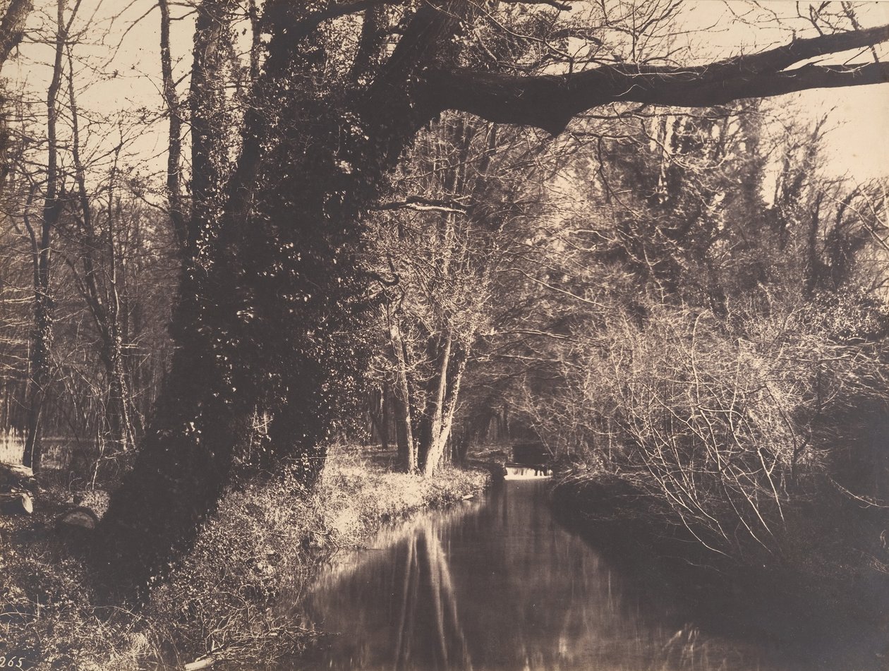 Courances Park, 1860-70. alkotó: Eugène Cuvelier