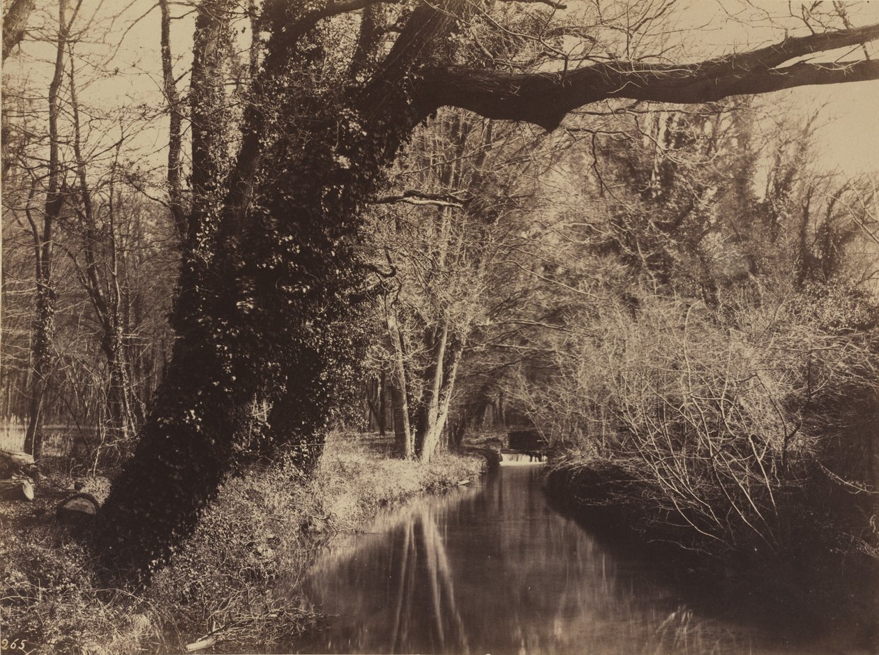 Courances Park, 1850-es évek vége. alkotó: Eugène Cuvelier