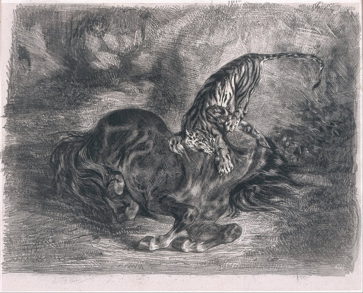Vad ló ütött le egy tigristől alkotó: Ferdinand Victor Eugene Delacroix