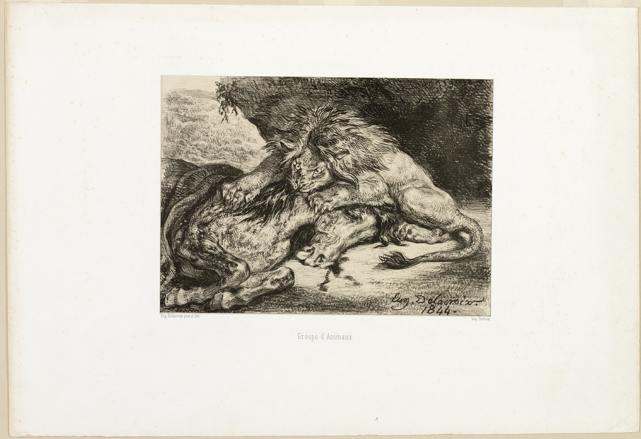 Oroszlán felfal egy lovat alkotó: Eugène Delacroix