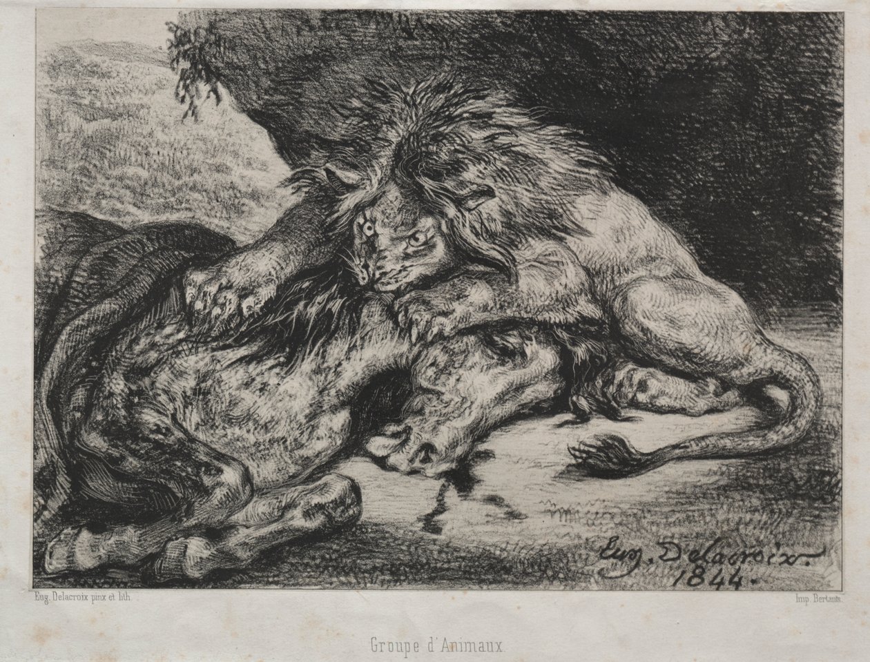 Oroszlán felfal egy lovat alkotó: Eugène Delacroix