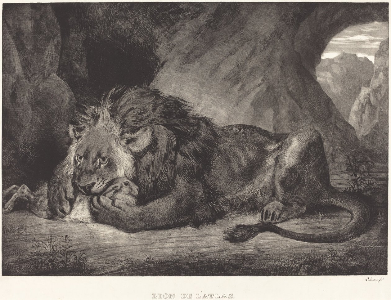 Az Atlasz-hegység oroszlánja (Lion de l
