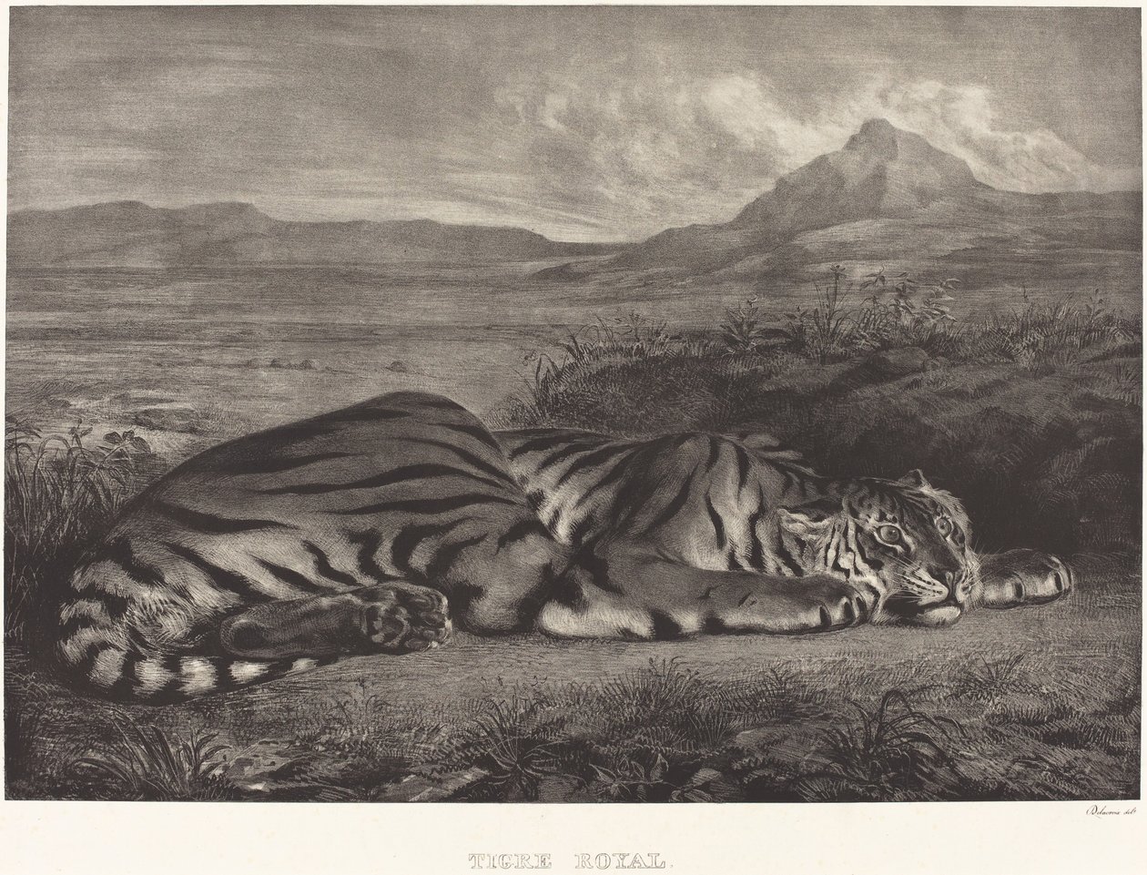 Royal Tiger (Tigre Royal)   1256688   hu       hungarian Successfully Translated  Original: Spring Translat: Spring 1279932 hu hungarian Successfully Translated Original: The Rookery, illustration from Country Ways and Country Days (colour litho) Translat: alkotó: Eugène Delacroix