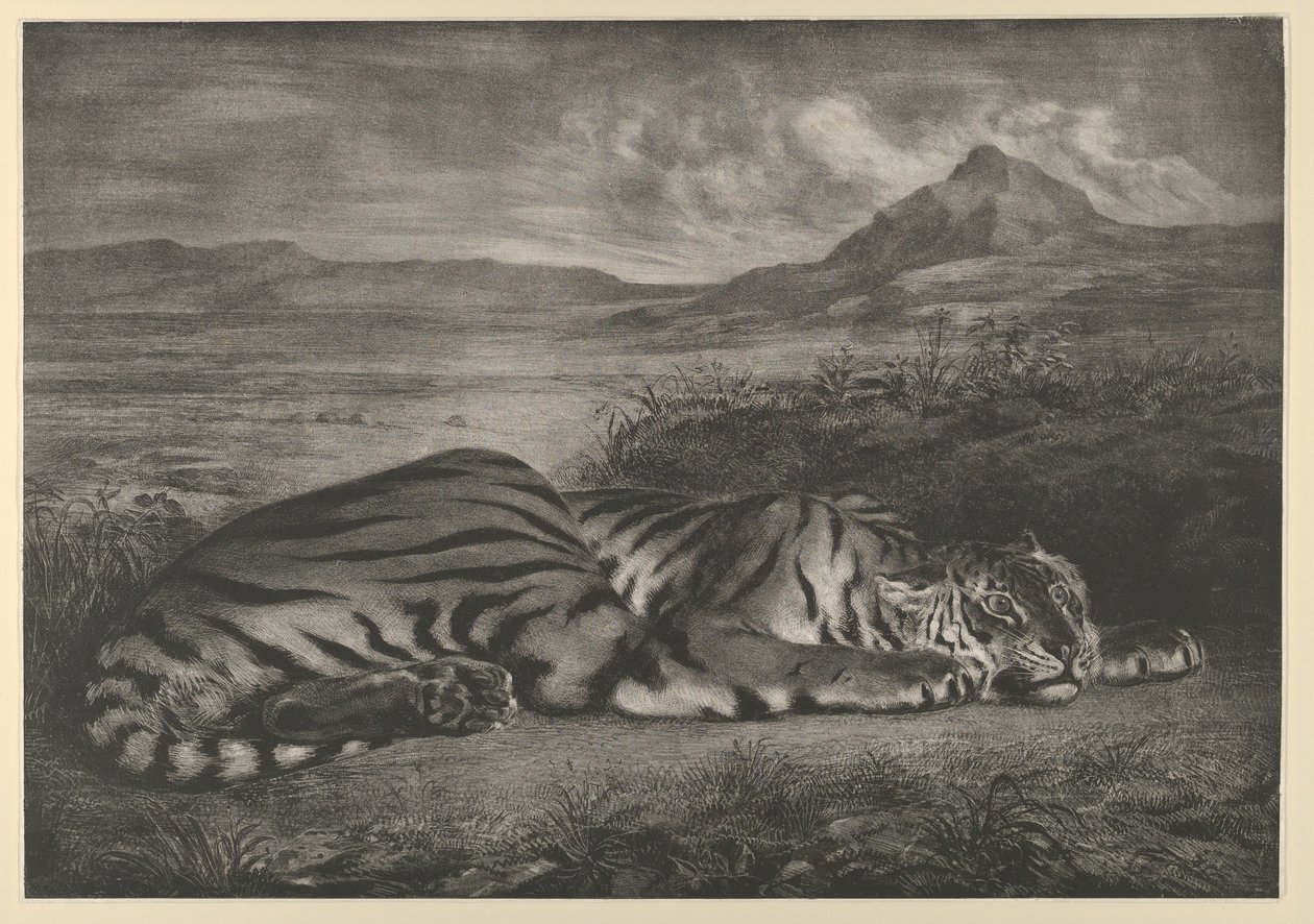 Királytigris, 1829., 1829. alkotó: Eugène Delacroix