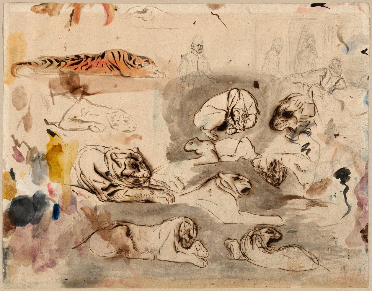 Vázlatok tigrisekről és férfiakról 16. századi jelmezben alkotó: Eugène Delacroix