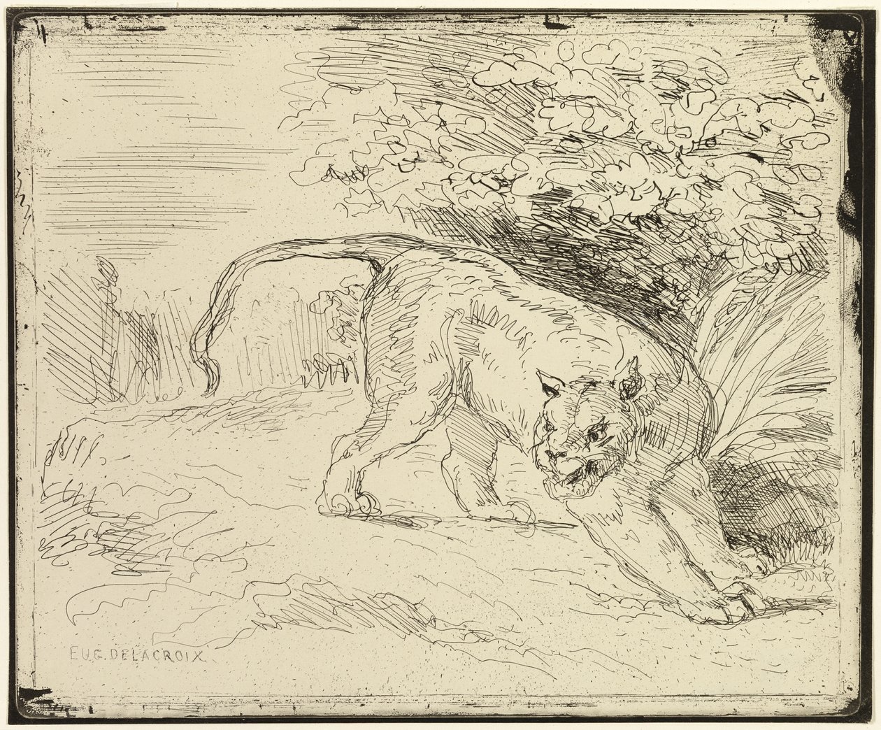Tigris készen áll a tavaszra alkotó: Eugène Delacroix
