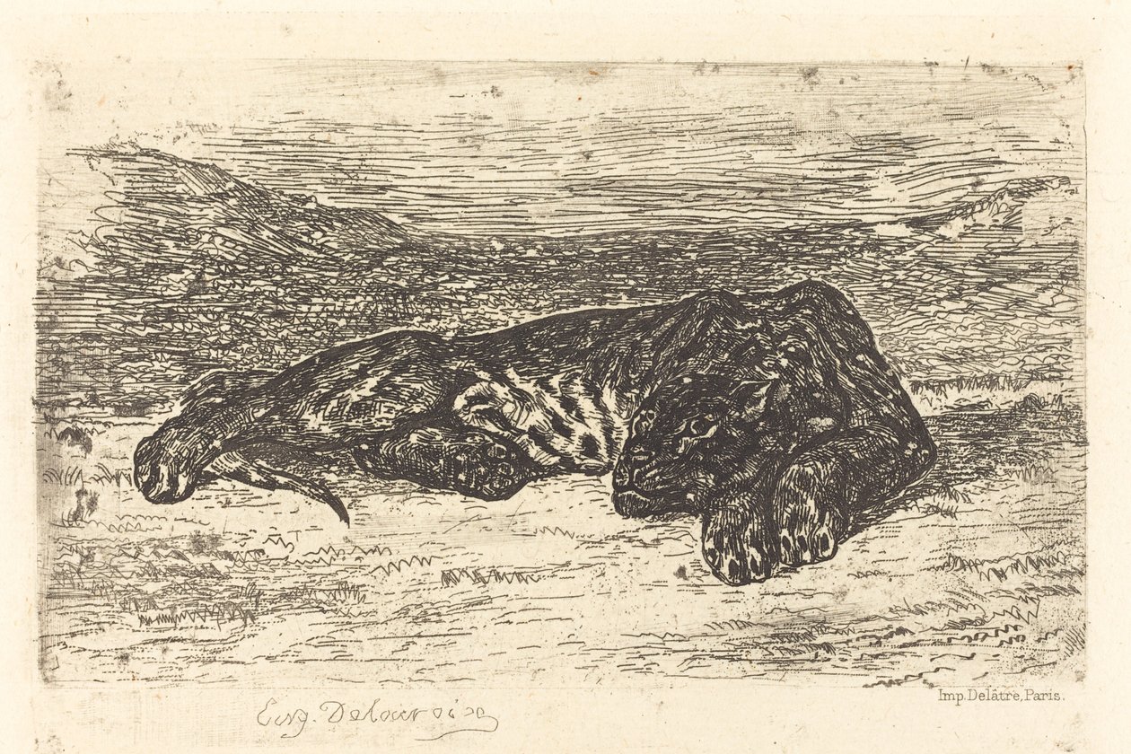 Tigris alszik a sivatagban alkotó: Eugène Delacroix