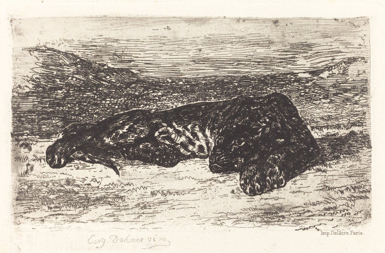 Tigris alszik a sivatagban, c. 1830. alkotó: Eugène Delacroix