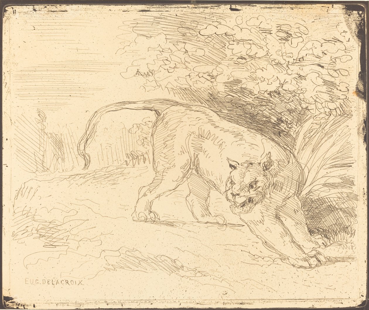 Tigris a Stopban, 1854. alkotó: Eugène Delacroix